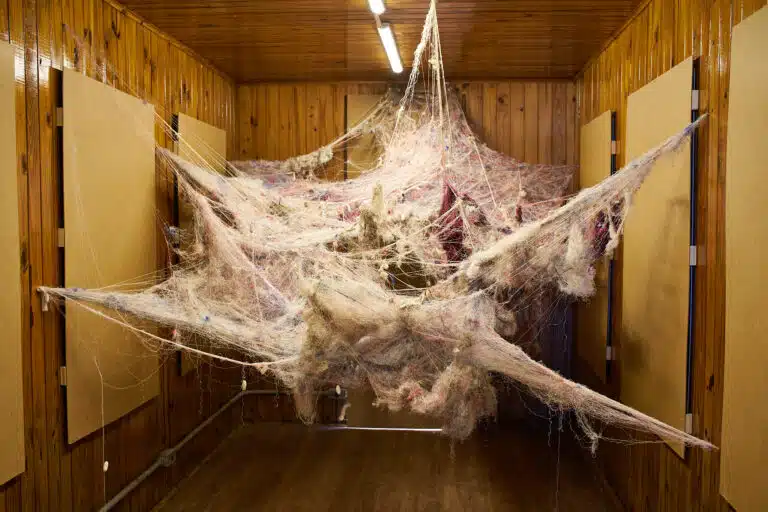 Foto: Vinicius Cavalcanti