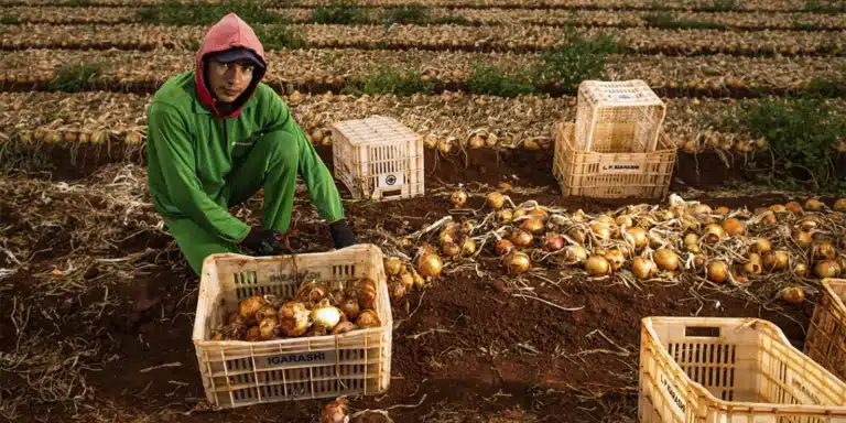 Pesquisa inédita mostra que cidades com cooperativas de crédito são as mais desenvolvidas do Brasil