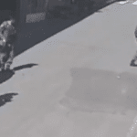 Novas imagens mostram PM atirando contra mulheres em Cariacica