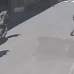 Novas imagens mostram PM atirando contra mulheres em Cariacica