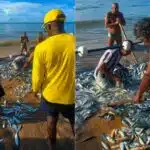 VÍDEO | Rede lotada de peixes chama atenção em praia de Itapuã