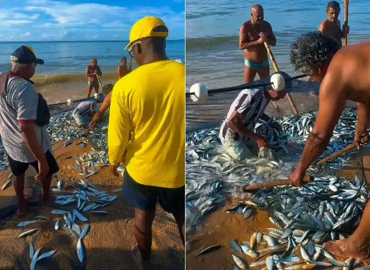 VÍDEO | Rede lotada de peixes chama atenção em praia de Itapuã