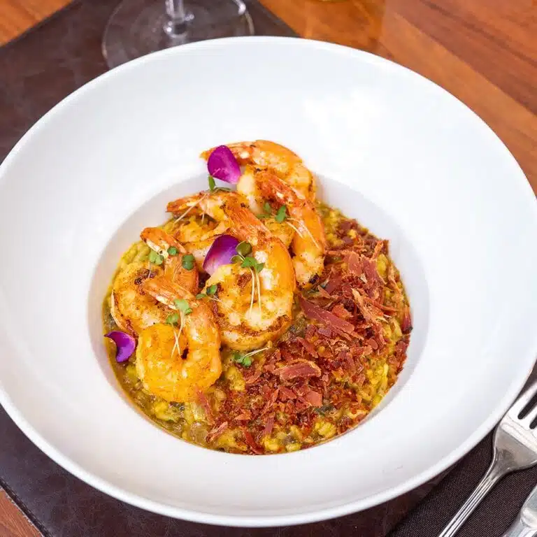 WhatsApp Image 2026-04-24 at 14.51.38