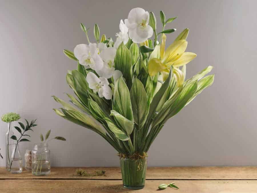 De flores a perfumes: preços variam em até 429% no Dia das Mães