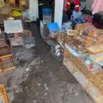 91 aves em situação de maus-tratos são resgatadas em Vila Velha