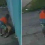 Mulher é flagrada abandonando filhotes de cachorro na Serra