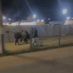 Touro foge durante festa em Baixo Guandu e fere estudante