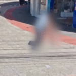 VÍDEO | Motorista do Transcol agride mulher em Vitória