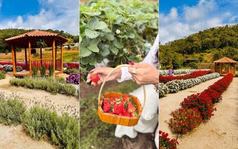 Dom Douro Agroturismo abriu o primeiro beijandário do Espírito Santo