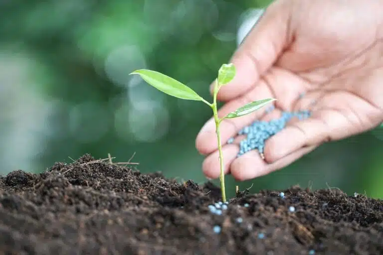 Fertilizantes verdes e a nova fronteira da competitividade