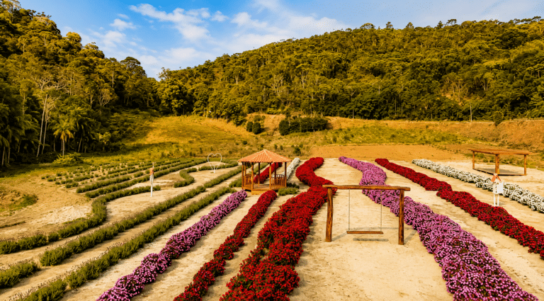 Entre flores e morangos: conheça o primeiro beijandário do ES