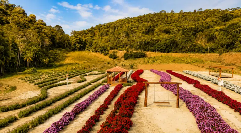 Entre flores e morangos: conheça o primeiro beijandário do ES