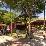 Parque vai oferece 20 horas de atividades gratuitas em Vitória