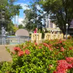 Parque Moscoso celebra 114 anos com programação gratuita
