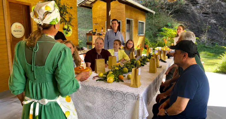 Santa Teresa ganha experiência para produzir o próprio limoncello