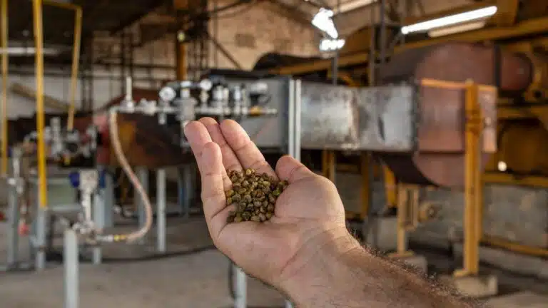 ES se torna o primeiro estado a usar gás natural para secar café