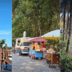 Parques e natureza: 4 passeios gratuitos em Jardim Camburi