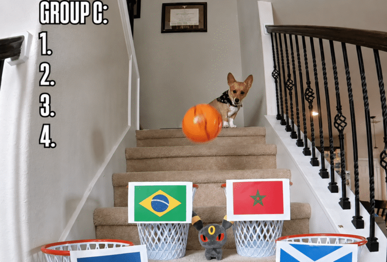 Brasil líder ou vice? Cão vidente faz previsão para a 1ª fase