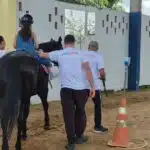 Como cavalos ajudam crianças a andar e ganhar autonomia no ES