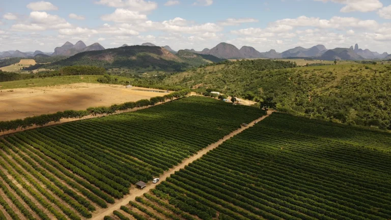 No final da safra 2026, produtores do ES já ligam o sinal de alerta