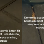 De arrepiar: escorpião é encontrado dentro de academia em Vila Velha