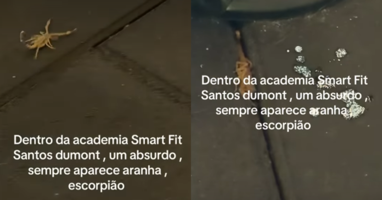 De arrepiar: escorpião é encontrado dentro de academia em Vila Velha