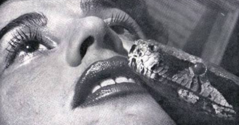Museu recebe mostra com 13 fotógrafas brasileiras em Vitória
