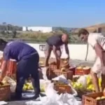 Carga de maracujá cai na estrada e atitude surpreende no ES