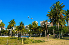 Curva da Jurema, em Vitória