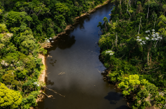 Rio